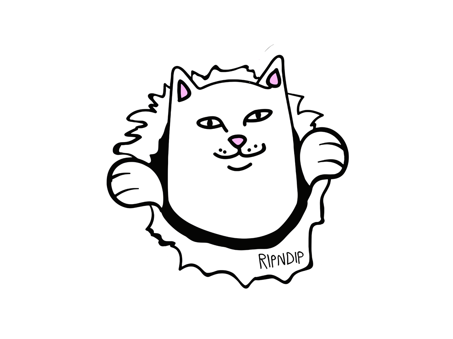 RIPNDIP