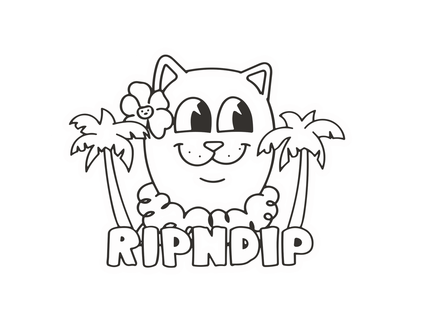 RIPNDIP