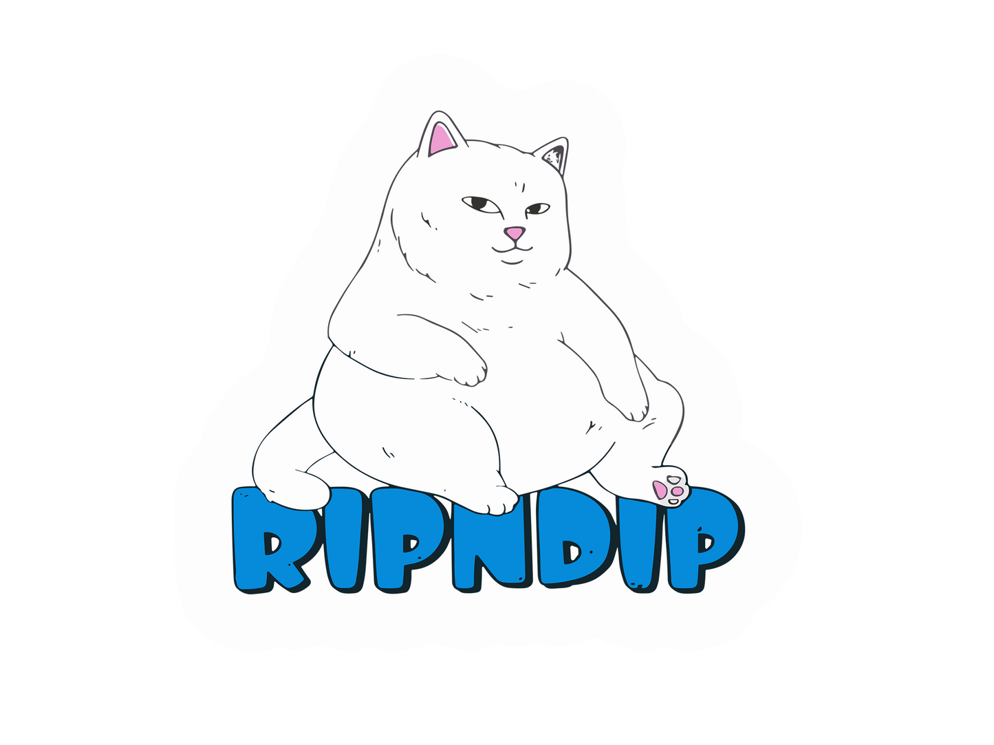 RIPNDIP