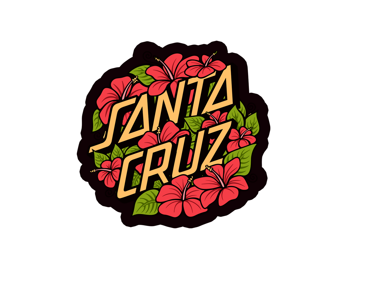 SANTA CRUZ