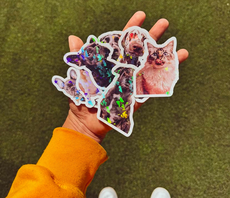 VINILO HOLOGRÁFICO PRISMÁTICO