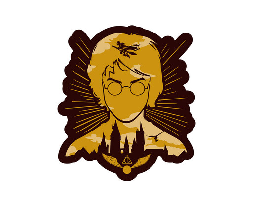 HARRY POTTER