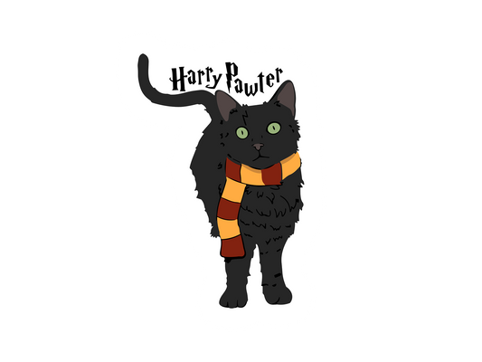 HARRY POTTER
